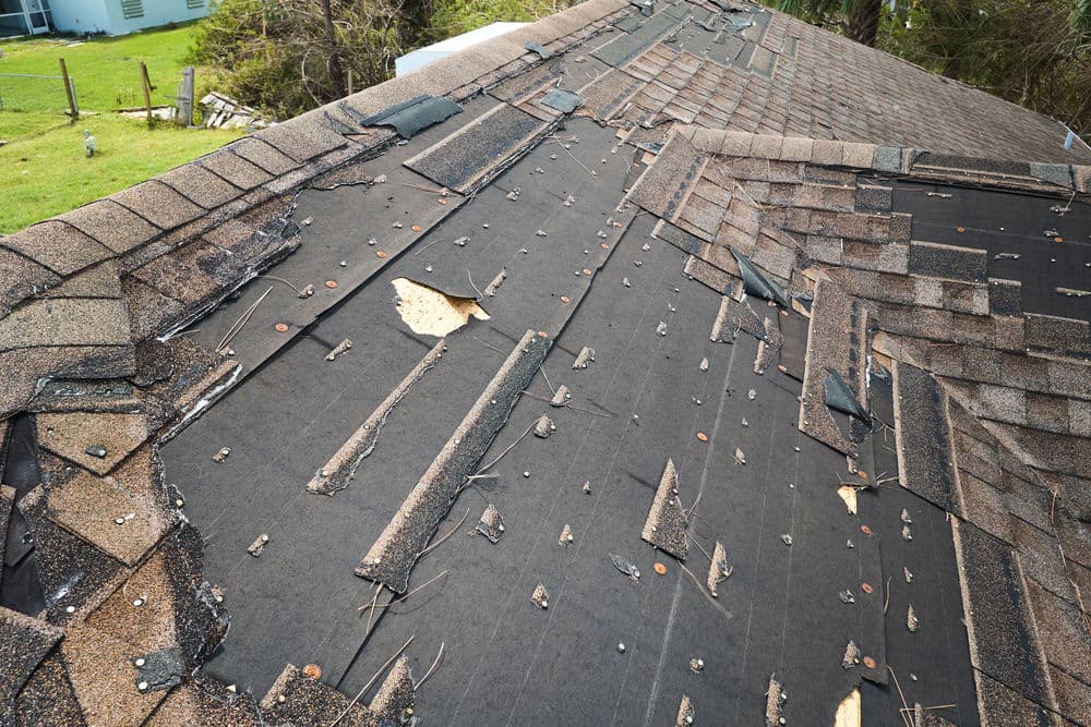Damaged roof shingles showing wear and tear from weather exposure and age.